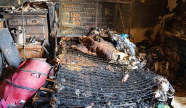 2 elderly women killed in fatal fires in Brooklyn, Queens: FDNY