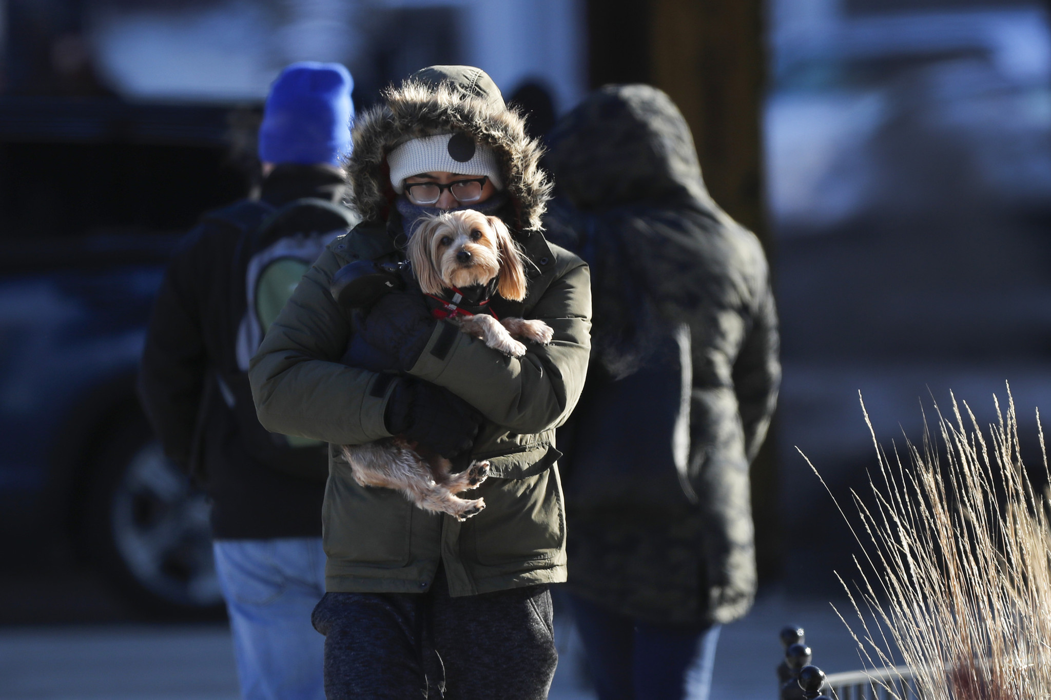 A man holds a dog as they enter a building...