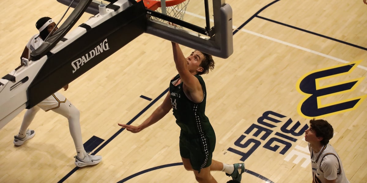 Rainbow Warriors basketball outworked by UC San Diego, loses 83-73