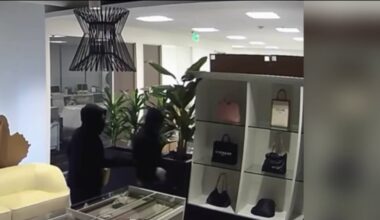 Irvine police stop pair of would-be thieves from taking $100,000 worth of handbags – NBC Los Angeles