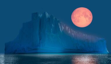 A study found that the Thwaites' Eastern Ice Shelf has compromised structural integrity due to continued fracturing over the years.