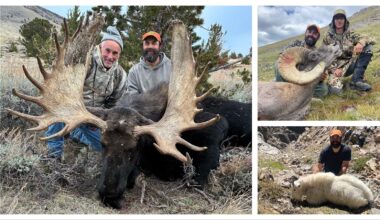 Cowboy State Daily logo