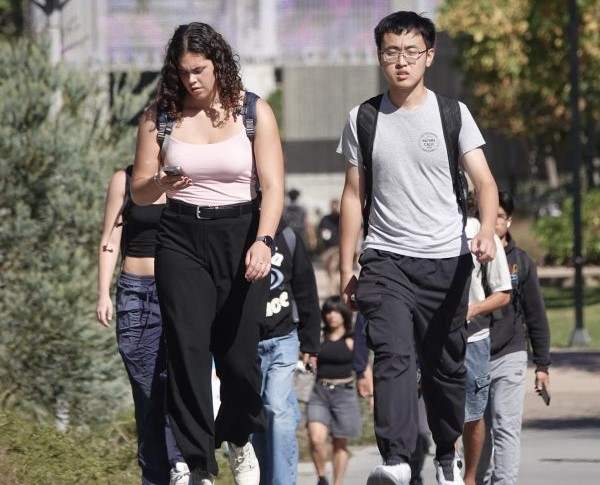 UCSD enrollment; Birch Aquarium; music lectures; painting workshop; more – San Diego Union-Tribune