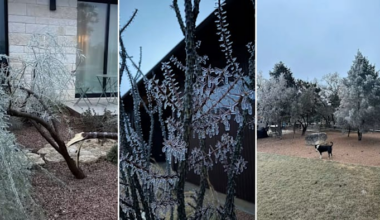 Viewers share photos of winter weather in San Antonio area on KSAT Connect