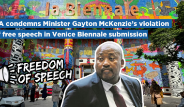 DA condemns Minister Gayton McKenzie’s violation of free speech in Venice Biennale submission