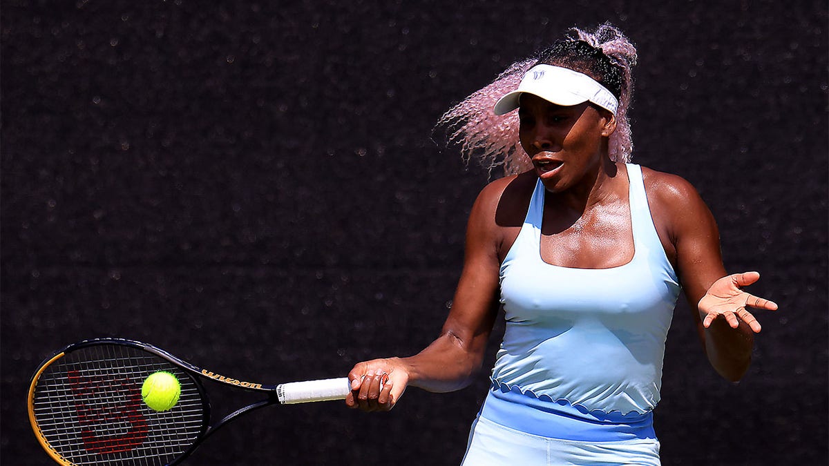 Venus Williams plays shot