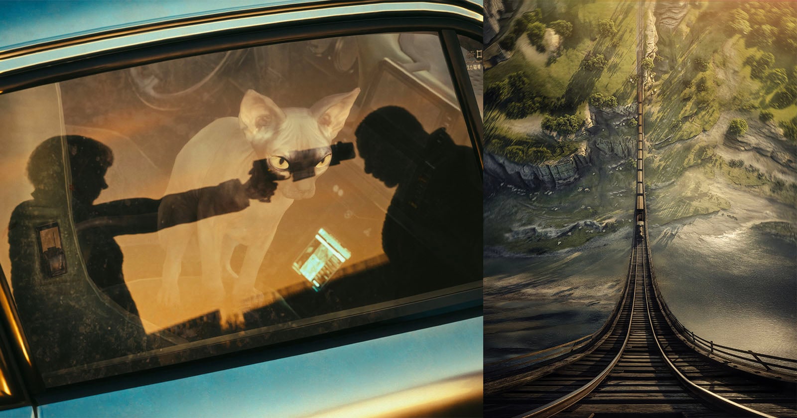A reflection of a person holding a gun appears on a car window next to a hairless cat inside. On the right, a high, narrow wooden bridge stretches over a valley with greenery and cliffs.