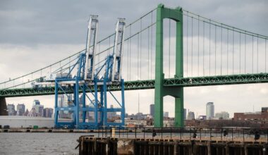 Vessel strike suspected in death of whale found on cargo ship in South Jersey port