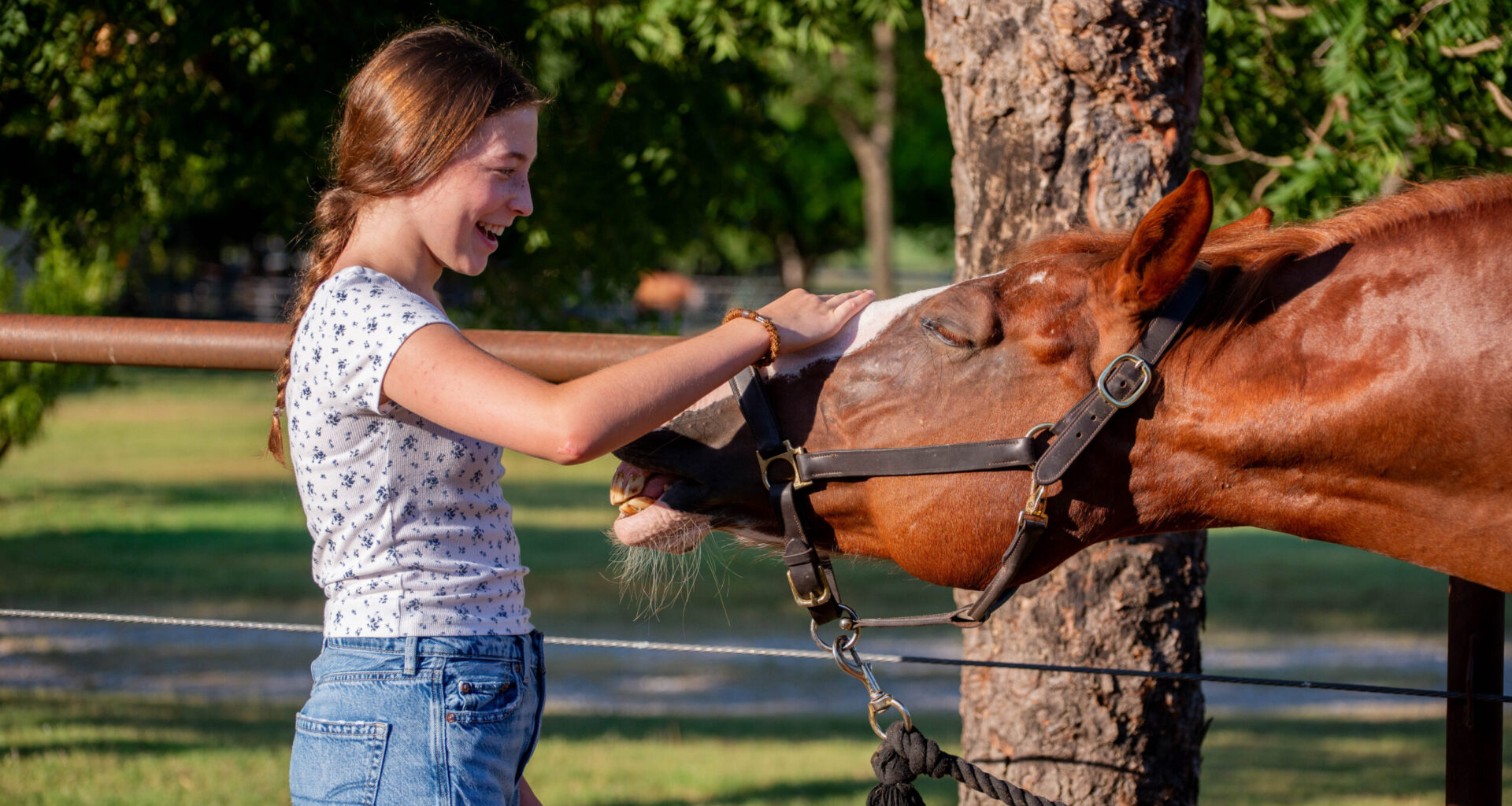 White Rock Stables invites neighbors in for healing