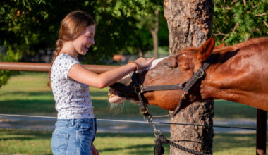 White Rock Stables invites neighbors in for healing