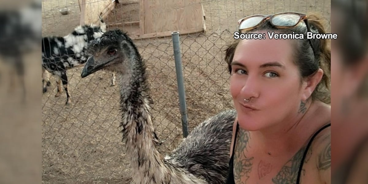 Another emu goes missing in southern Arizona