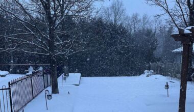 Snowfall warning in effect as school bus delays reported