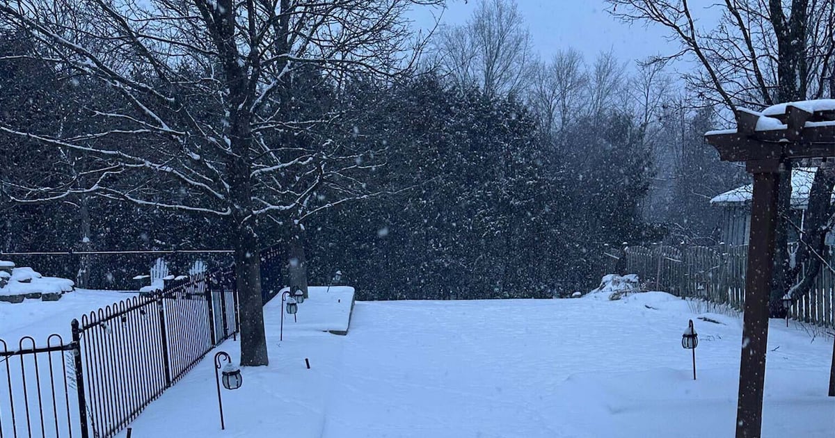 Snowfall warning in effect as school bus delays reported