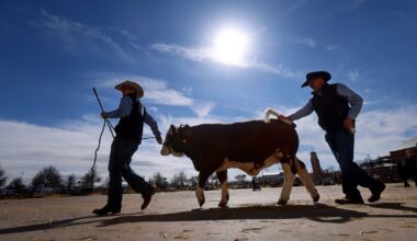 What to know about the 2026 Fort Worth Stock Show and Rodeo