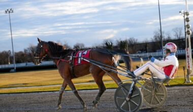 We Investigated Horse Drugging. Here's What We Found.