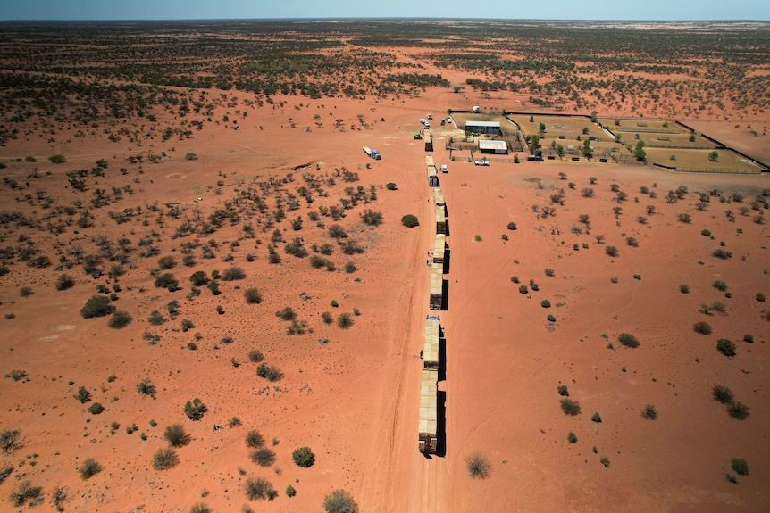 An overhead shot of a barren red desert landscape with a line of trucks filled with hay.