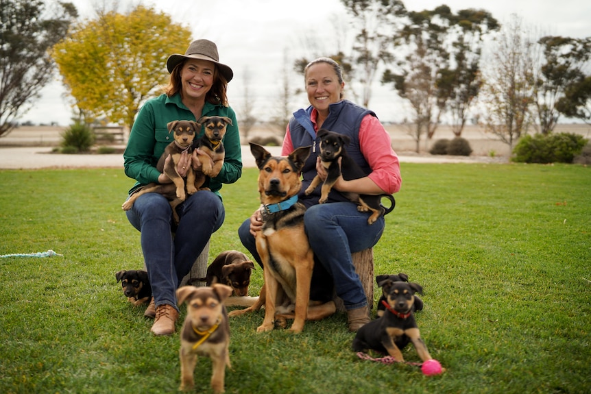 Kim Dodson with Banjo and two puppies.