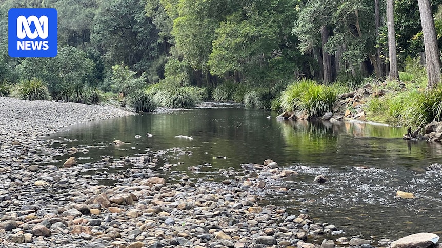 Two men dead after drowning in Never Never River north of Bellingen