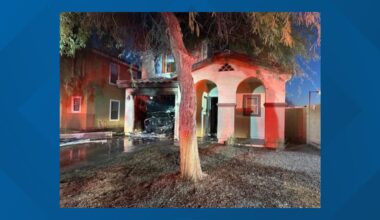 Family dog rescued from house fire in Arizona