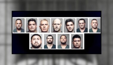 11 men facing felony charges in connection with Jacksonville cockfighting ring