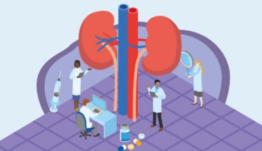 Kidney cancer specialists: 3 things to know about renal cell carcinoma (RCC)