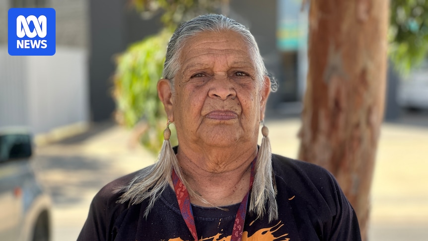 Elder and MDAS ex-board member calls for government to take control of embattled Aboriginal organisation