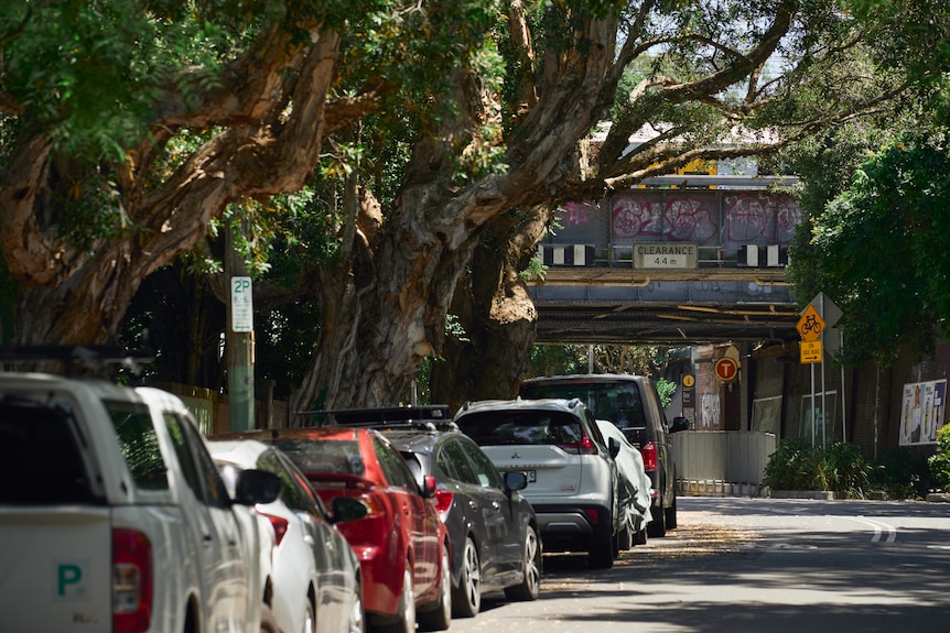 Erskineville and Macdonaldtown 2025-11-25 11:11:00