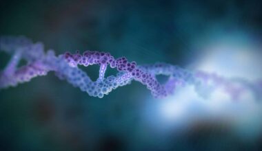 Ancient Dna (illustrative Image)