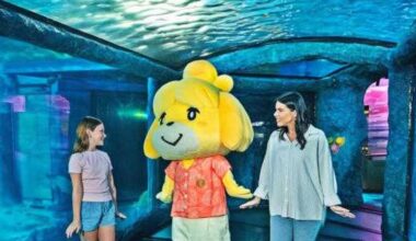 Animal Crossing aquarium tour splashes into downtown SA
