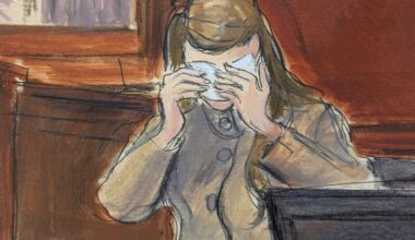 In Alexander brothers trial, first witness testifies to being sexually assaulted