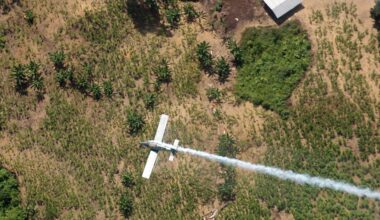 Colombian lawmaker among 15 killed in plane crash near Venezuela | Aviation News