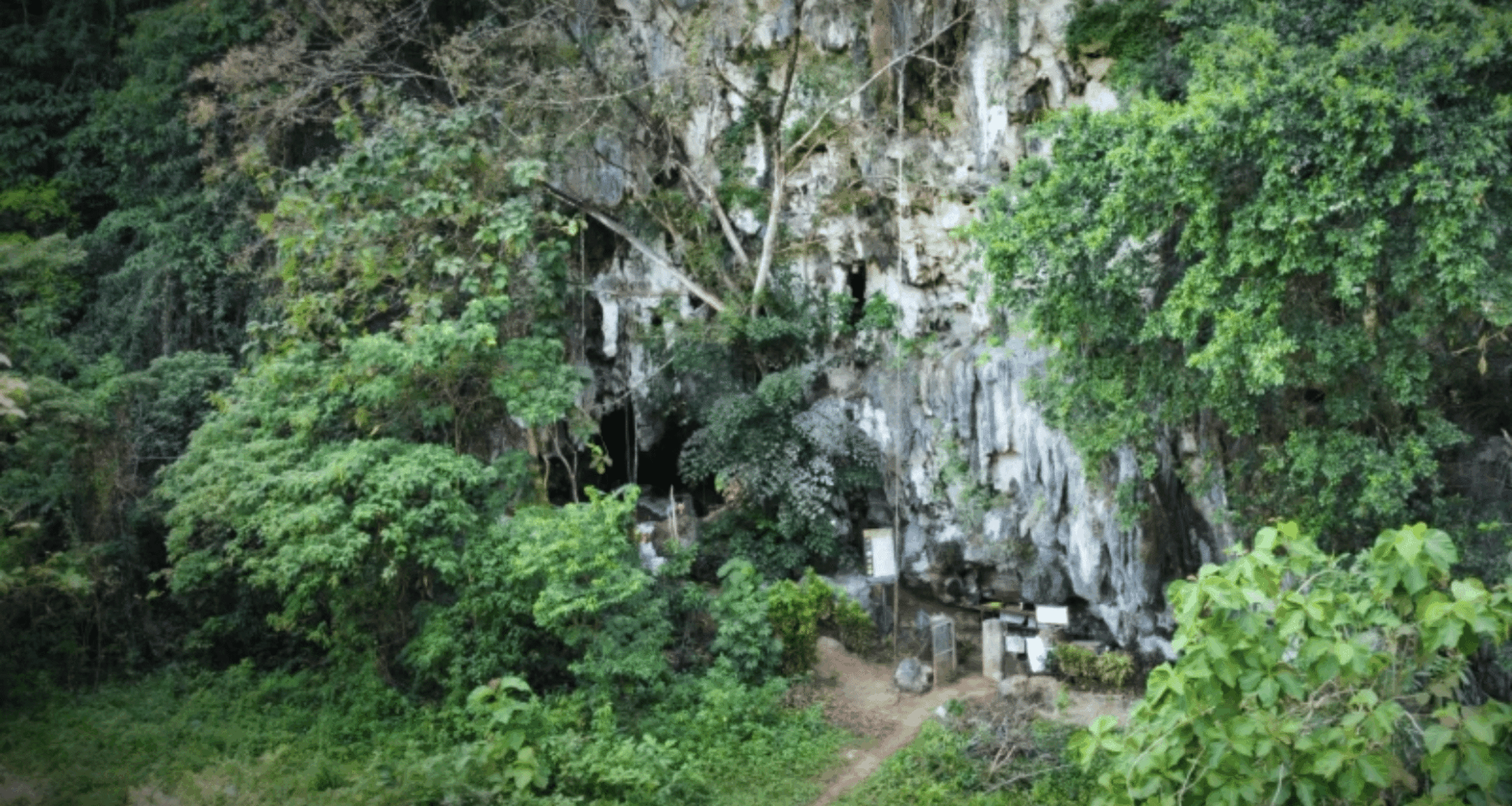 Archaeologists Unearth 200,000 Year Old Evidence Of Ancient Human Like Species That Lived Alongside Early Humans