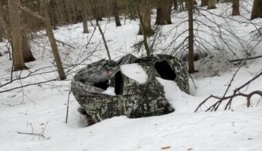Costly Mistake Leads To Damage For New York State Hunter