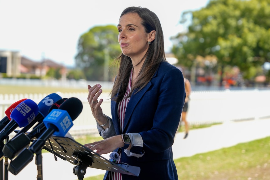 Ms Houssos speaking into media microphones at a press conference next to a cricket oval.