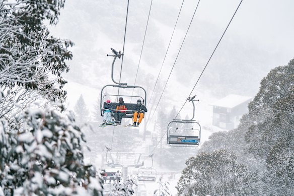 Alpine Resorts Victoria, which manages mountains including Falls Creek, is reliant on government funding to remain solvent. 