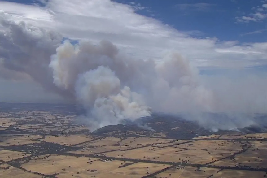 Smoke billows up from a forest landscape.