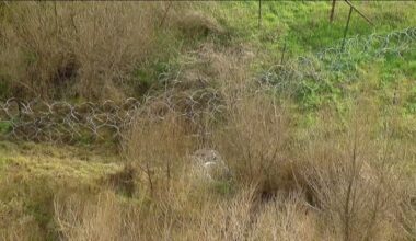 San Diego sues federal government over unauthorized razor wire fence built on city-owned border land