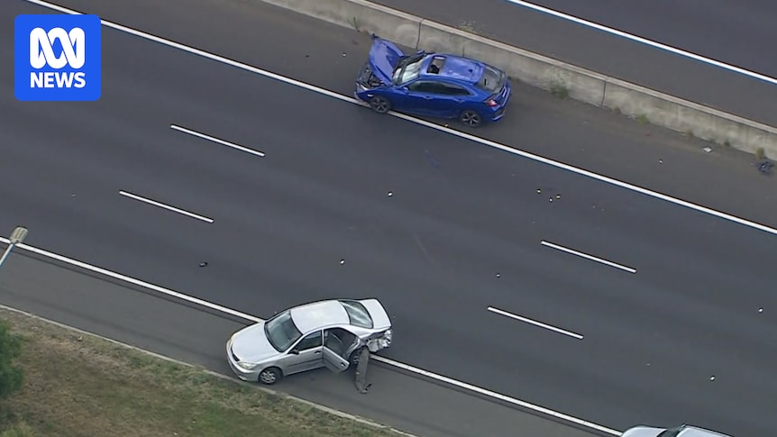 Fight breaks out after crash on Monash Freeway in Melbourne's south-east