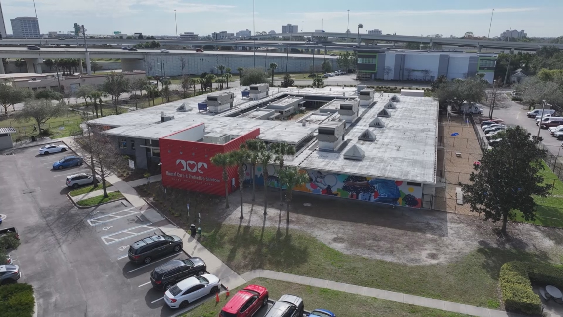 Discussions continue over shorter stray holds proposal at Jacksonville ACPS