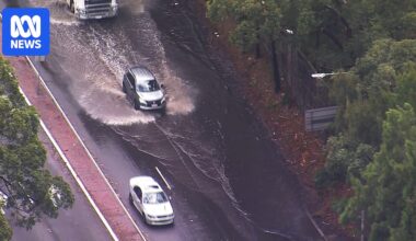 Woman dies after tree falls on her car south of Wollongong as winds and rain lash NSW coast