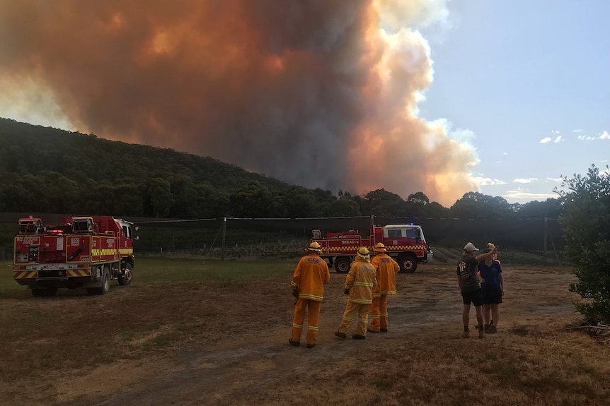 Smoke rises from a fire behind trees, as firefighting crews stand near there.