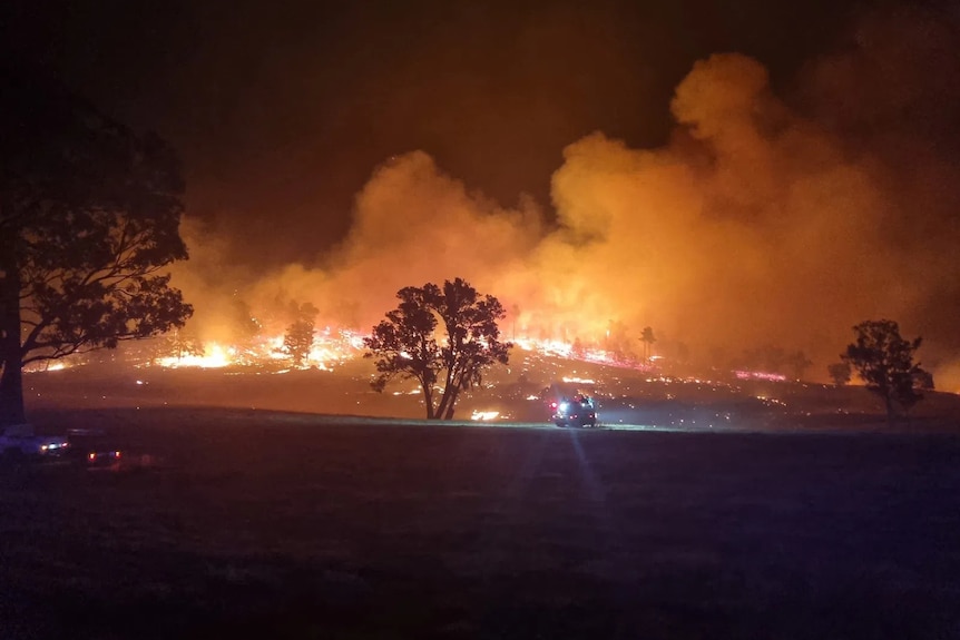 A photo of a bushfire taken during the night.