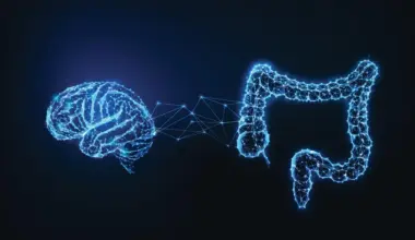 The secret to human intelligence? It might be in our gut