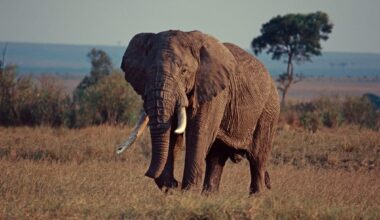 Aqua Nera boat on the Amazon River