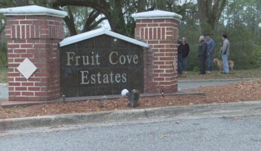 'We do not support this': Fruit Cove neighbors protest Daily's gas station proposal