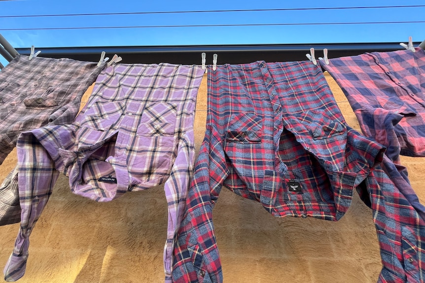 Four red, purple, pink and blue flannelette shirts hanging on a clothesline