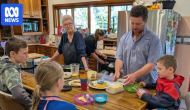Changing law to allow second home on rural land will help housing crisis, head of NSW inquiry says