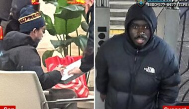 Brazen NYC carjacker swipes vehicle where blind senior was waiting for son