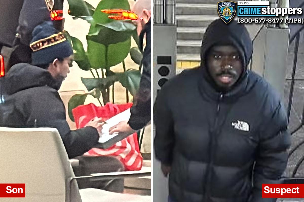 Brazen NYC carjacker swipes vehicle where blind senior was waiting for son