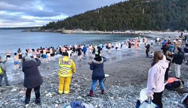 Brave Dippers Plunge into Icy Atlantic for a Cause